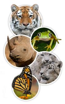 Международный день биологического разнообразия