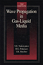 Wave propagation in gas-liquid media (1993)